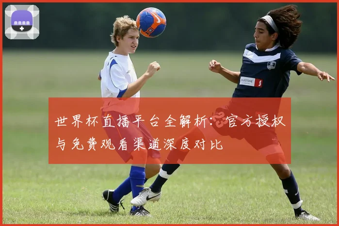 世界杯直播平台全解析：官方授权与免费观看渠道深度对比
