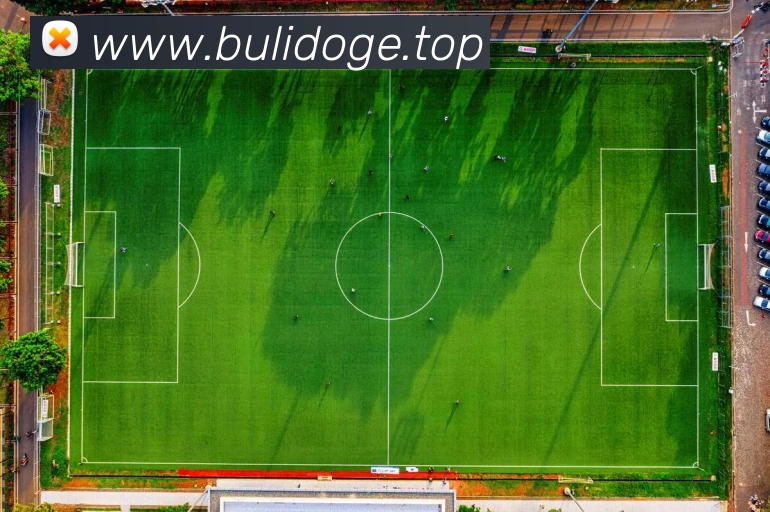 欧宝网发展历程